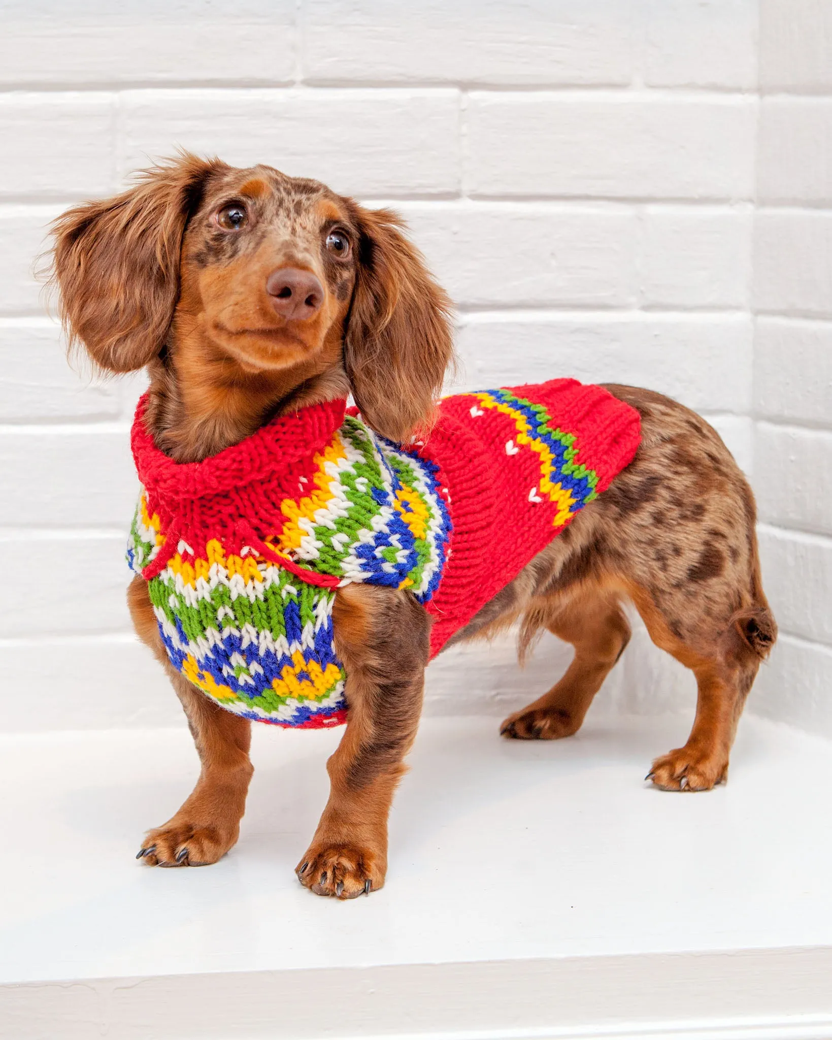 Festive Fairisle Dog Sweater << CLEARANCE >>