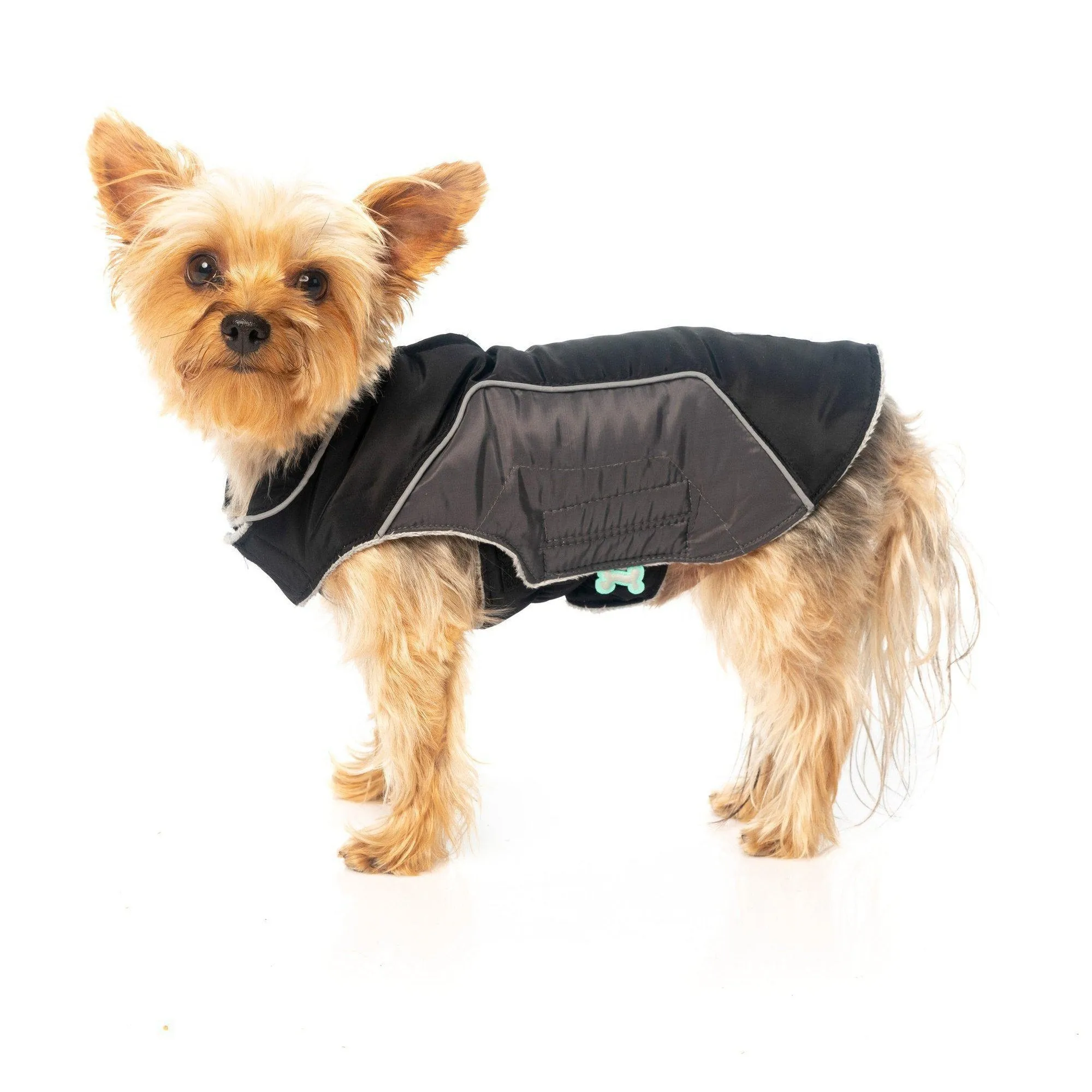 FuzzYard | Pac Dog Jacket - Black/Grey