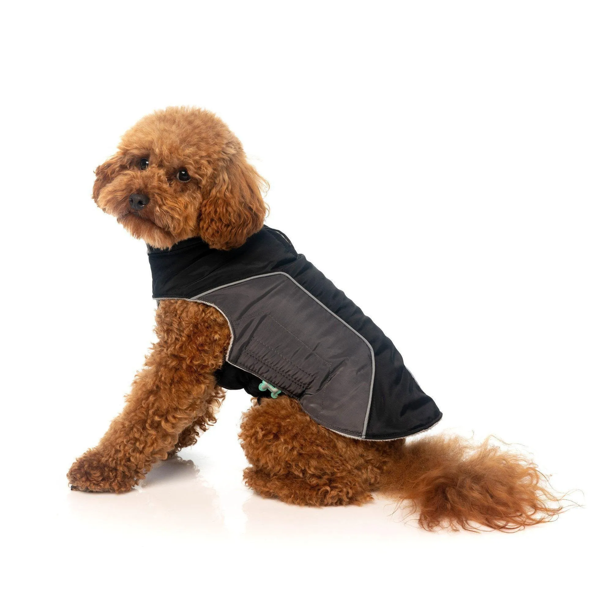 FuzzYard | Pac Dog Jacket - Black/Grey