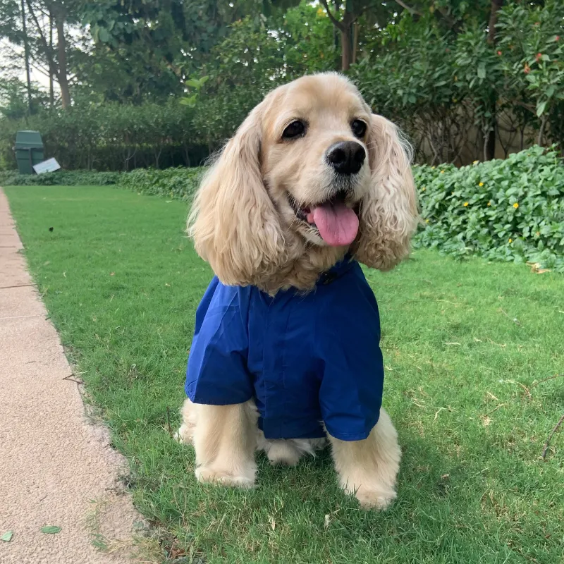 PoochMate Two Toned Rain Coat - Blue & Orange