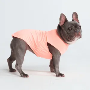 Sunblock Dog T-Shirts