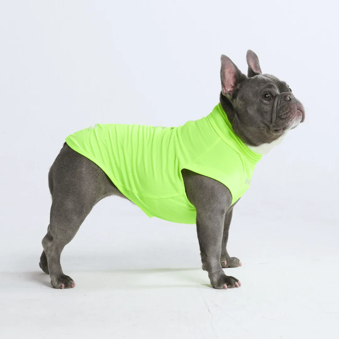 Sunblock Dog T-Shirts