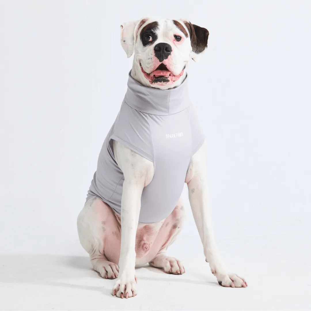 Sunblock Dog T-Shirts