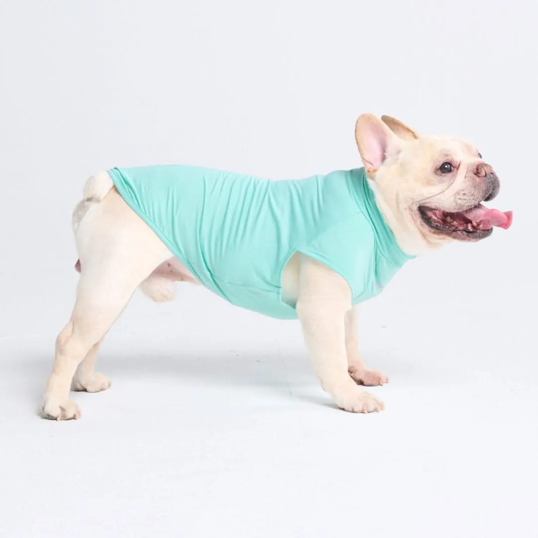 Sunblock Dog T-Shirts