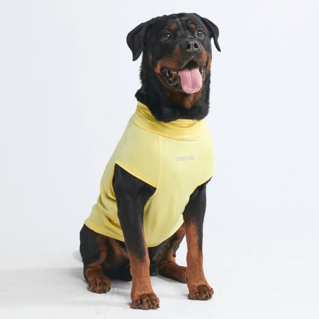 Sunblock Dog T-Shirts